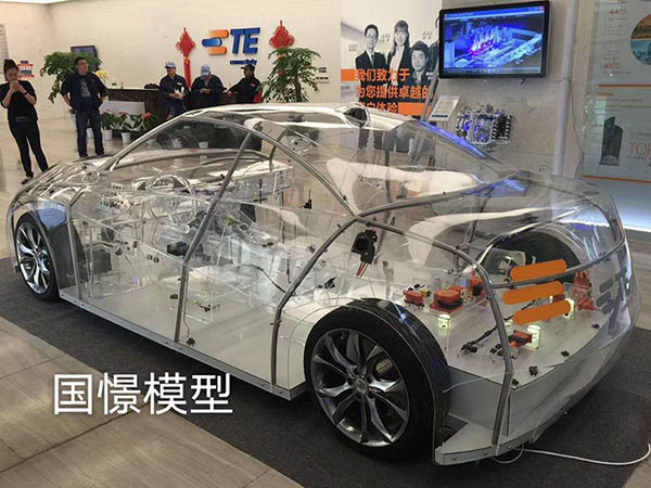博湖县透明车模型
